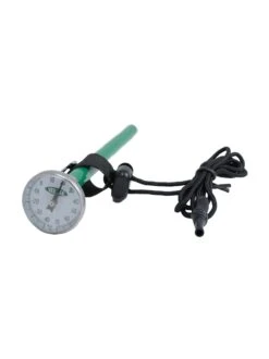BCA ANALOG THERMOMETER