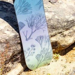 ARBOR VEDA- 2023 -Volkl || Atomic || Fischer Sales arbor veda 2023 730190