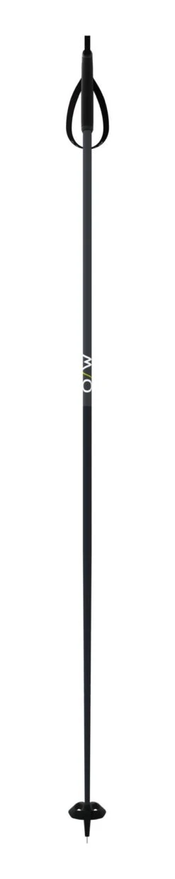 Fischer BC OFFTRACK POLE