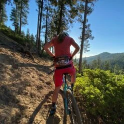 CANVAS PHANNY -Volkl || Atomic || Fischer Sales canvas phanny 701622