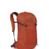 Osprey SKARAB 22 W/RES -Volkl || Atomic || Fischer Sales skarab 22 wres 380913