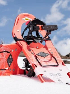 Atlas TREELINE W -Volkl || Atomic || Fischer Sales treeline w 651235